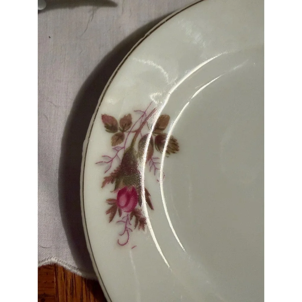 Vintage Pink Moss Rose 4